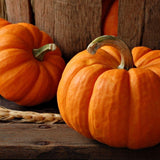 Perfect Pumpkin Wax Melts